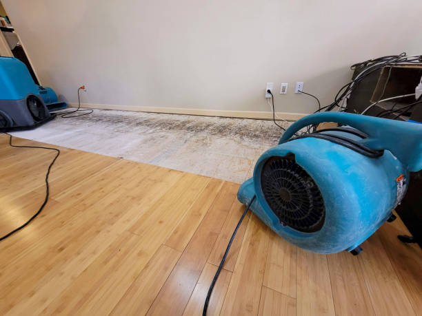 Professional Water Damage Repair technician working in Seabrook, TX